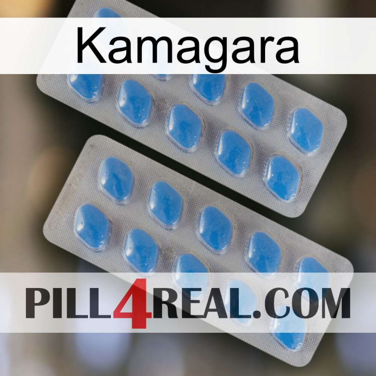 Kamagara 23